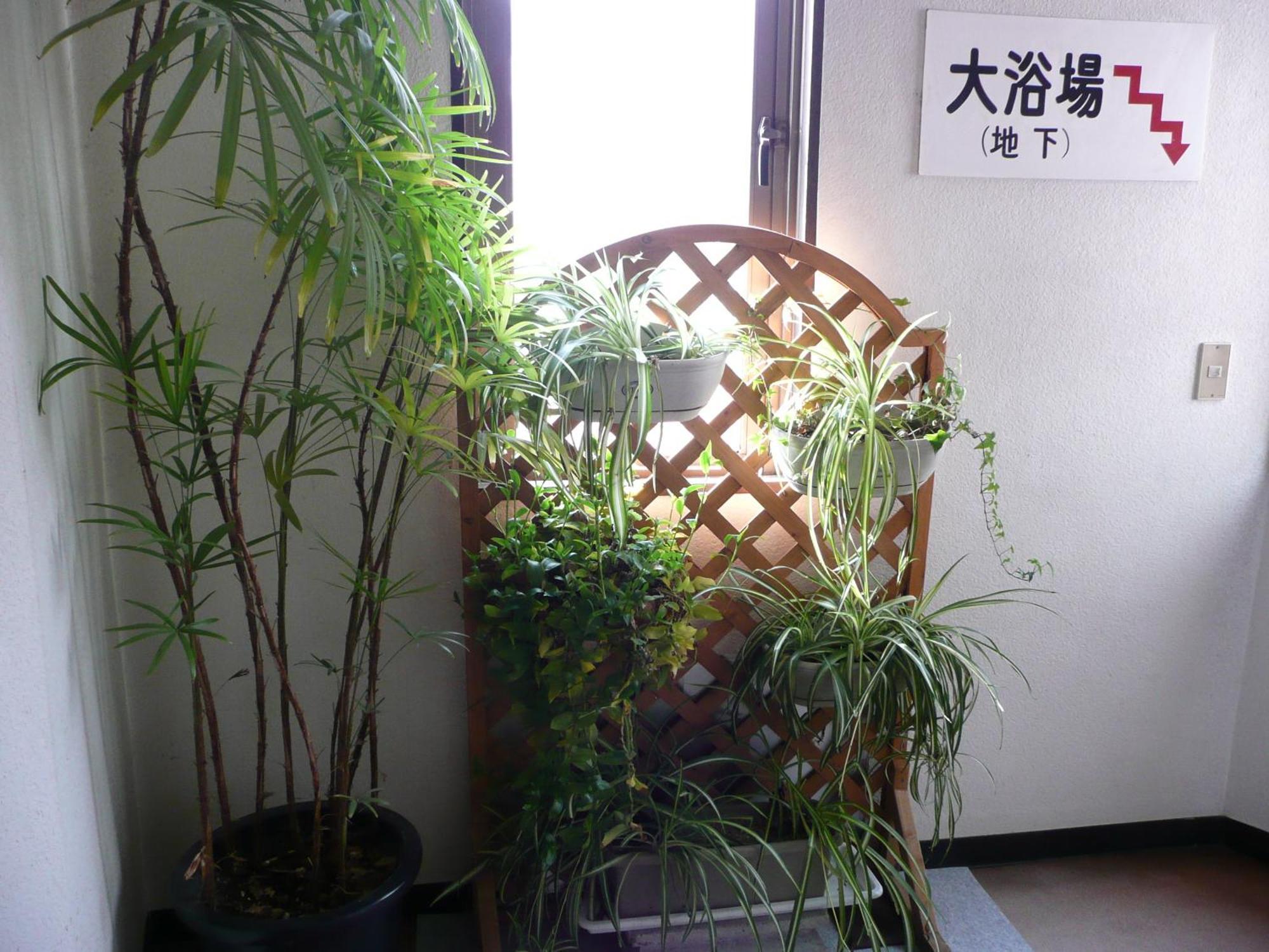 Hotel Seisenso à Nozawaonsen Extérieur photo